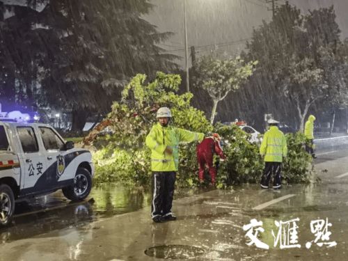 江蘇多地交警推出便民停車措施 商場樓頂免費與道路兩側(cè)有序停放