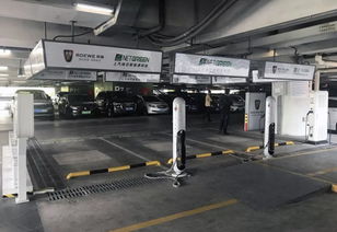 凱迪拉克車主專享 虹橋機場免費停車服務(wù)讓出行更從容