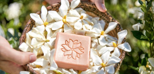 在生態(tài)友好的旅途中，愛上泰順 可持續(xù)旅游項目開發(fā)與管理的探索